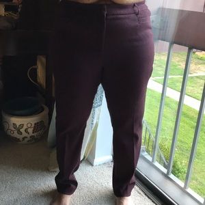 Maroon Dress Pants